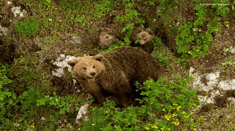 Η Oμορφιά των Eλληνικών Περιοχών Natura 2000 σε 40 Εντυπωσιακές Φωτογραφίες